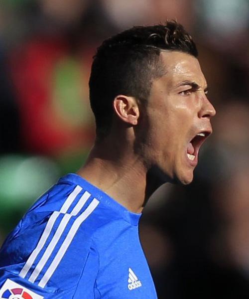 引进锡安威 引进锡安威