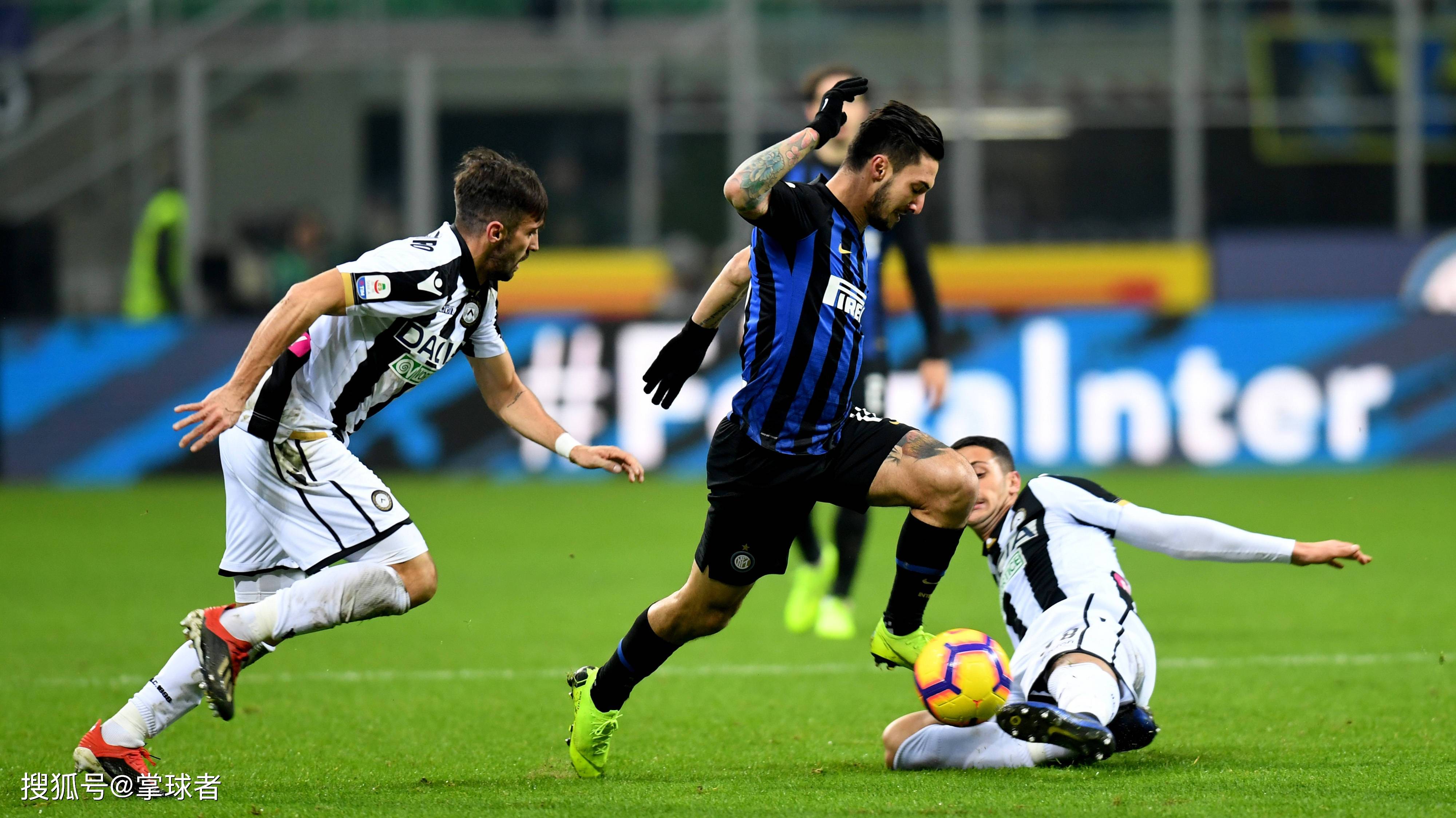 它们的共同 它们的共同