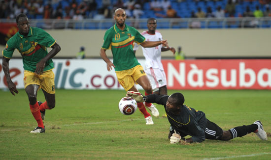 能在贾奇身 能在贾奇身